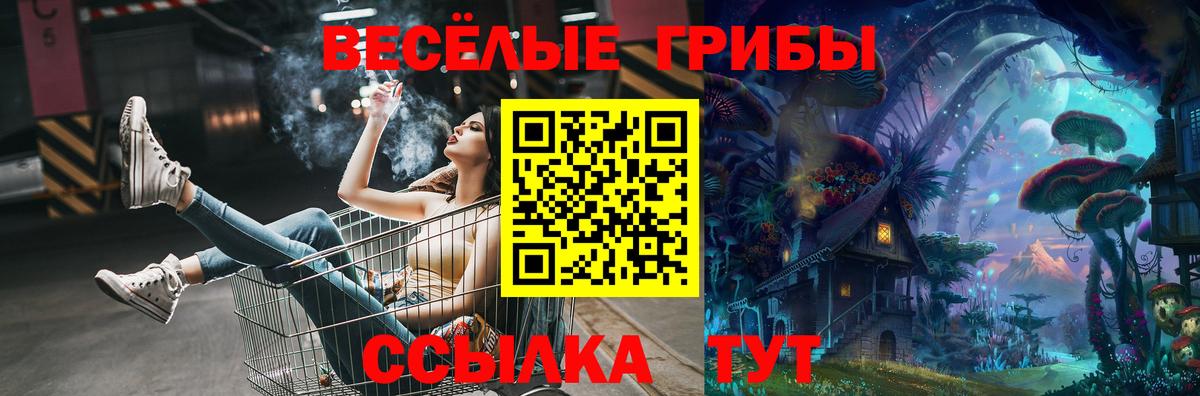 купить закладку  Вход с VPN  Кострома  Псилоцибиновые грибы MAGIC MUSHROOMS 